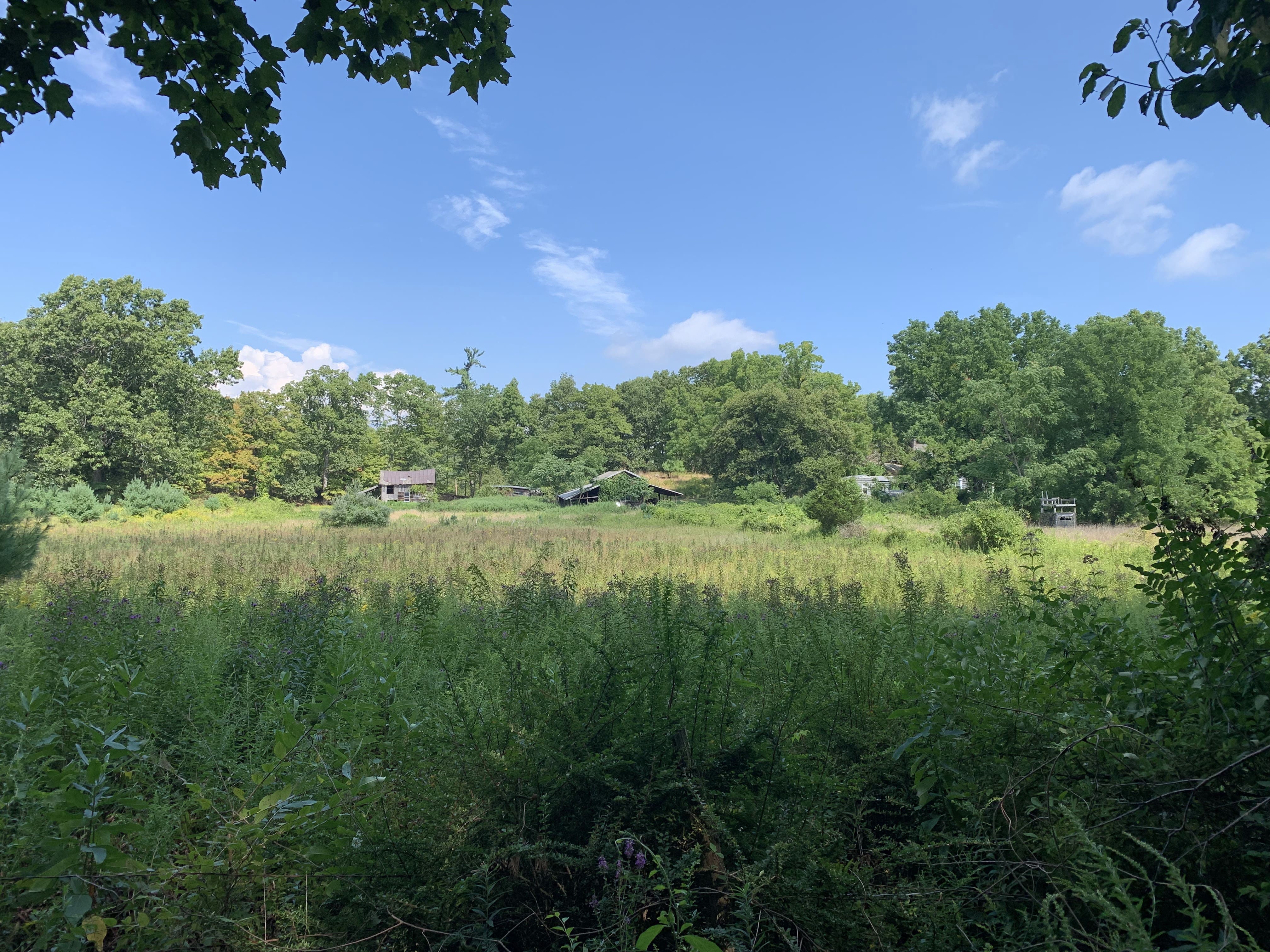 The Kingston Land Trust Purchases 54 Acres For Its Land In Black Hands Program Kingston Land Trust