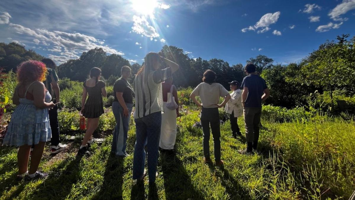 land in black hands land tours