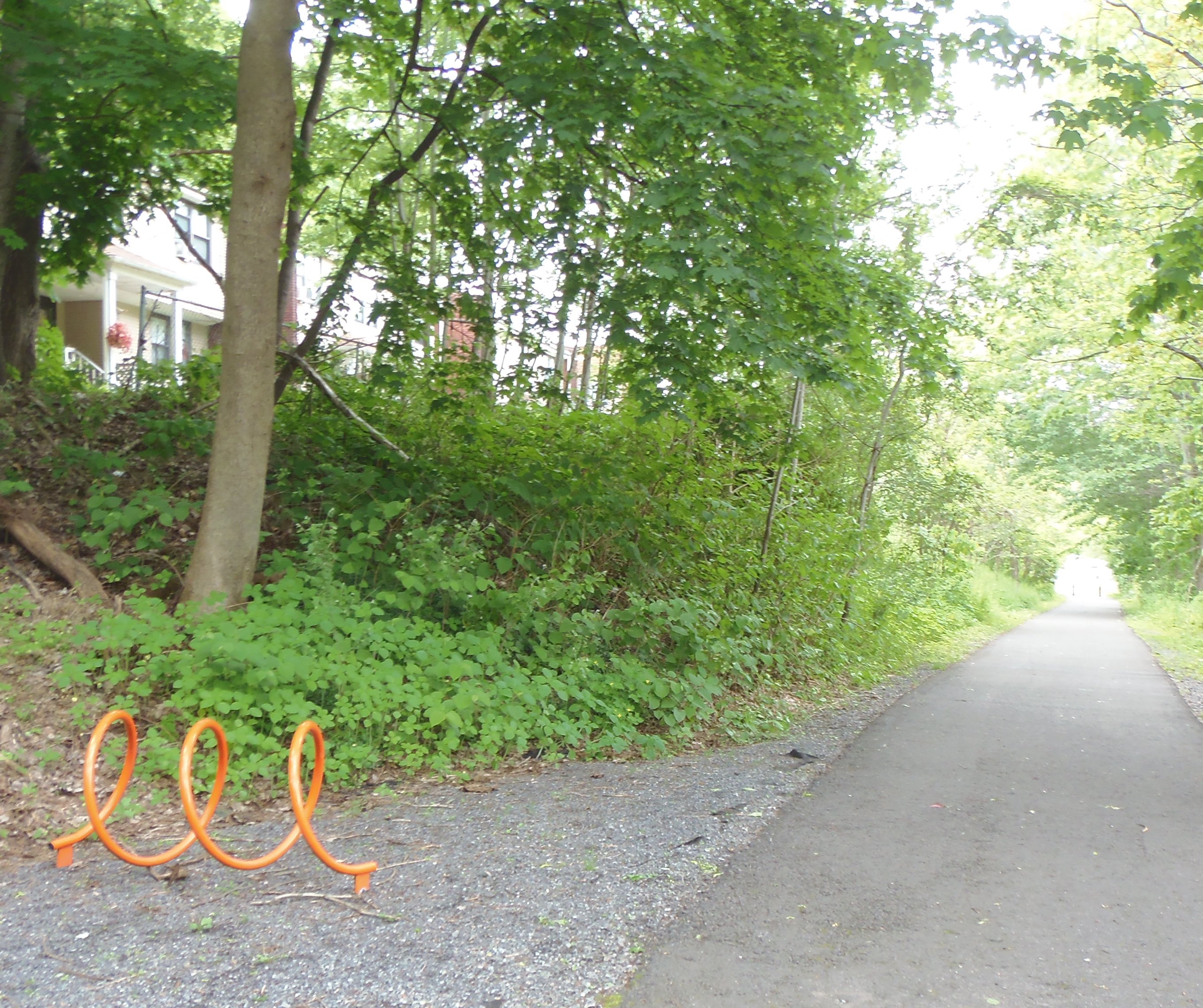 Path