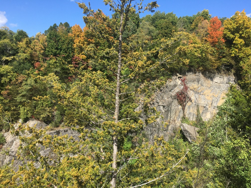 View of the quarry walls on our newly protected land on Wilbur Ave.