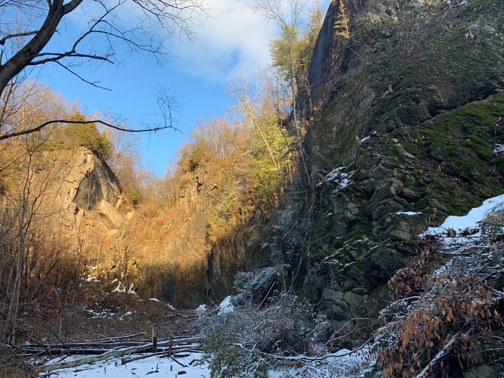 View of "the bowl" inside the quarry at our newly protected land on Wilbur Ave.